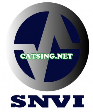 SNVI/RVI FILTER LISING FROM CATSING FILTERS